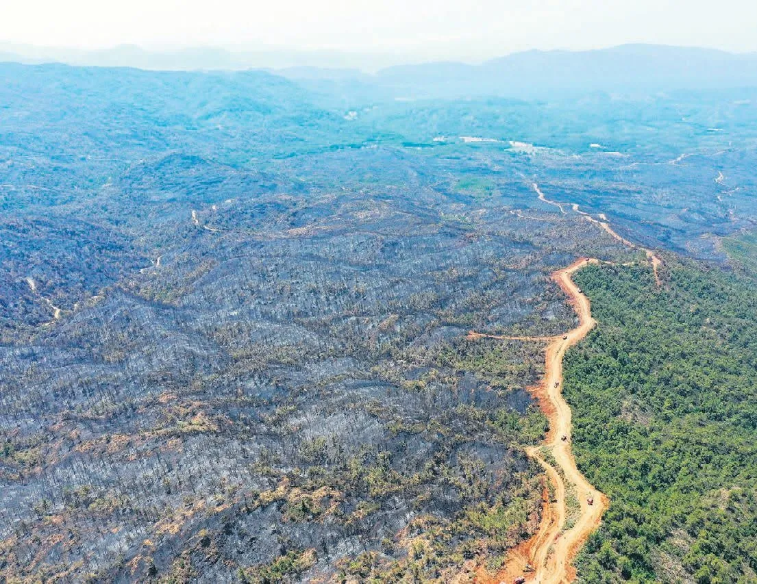 Yangın kontrol altında