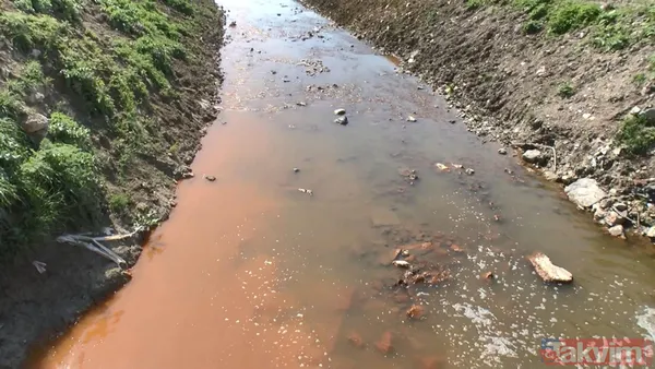 İstanbul'da Başakşehir'den Avcılar'a kadar turuncu akan dere tepki çekti - 15