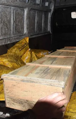 Teröristin cenazesi böyle götürüldü