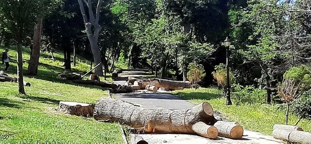 chpli-ibbnin-emirgan-korusundaki-agac-katliamina-istanbul-orman-bolge-mudurlugu-tarafindan-para-cezasi-verildi-1655518114221.jpeg CHP'li İBB'nin Emirgan Korusu'ndaki ağaç katliamına İstanbul Orman Bölge Müdürlüğü tarafından para cezası verildi-2