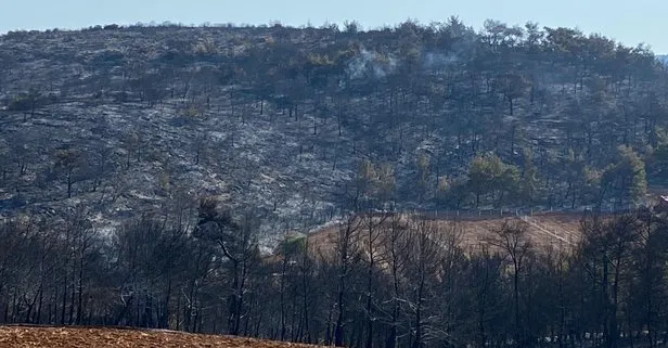 Manisa’daki orman yangını 13,5 saat sonra kontrol altında