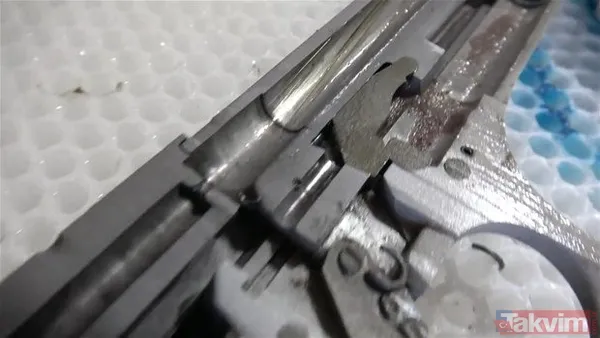 Çıngıraklı yılanın kuyruğundan çıkanlar görenleri şoke etti! Sonrasında ise... - 35