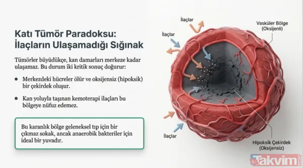 Kansere karşı mikro savaş: Bilim insanları tümörleri içten yiyen bakteri geliştirdi - 4