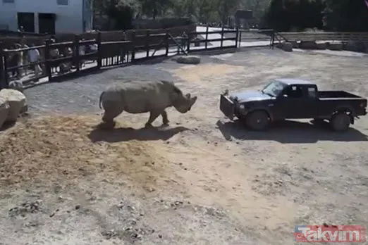 Sadece fotoğraf çektirmek istedi genç kız hayatının şokunu yaşadı! Bir anda üzerine atladı ne var yok... - 17
