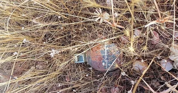 Bingöl'de ele geçirilen el bombası ve mayın imha edildi