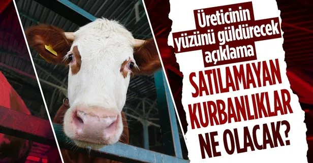Et ve Süt Kurumu’ndan flaş kurbanlık açıklaması! Hepsi satın alınacak