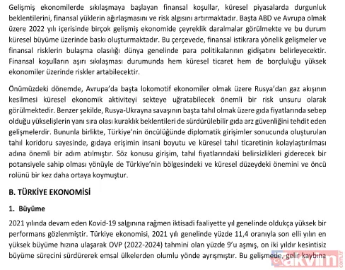 Orta Vadeli Program yayınlamdı: İşte sayfa sayfa 3 yıllık yol haritası - 17