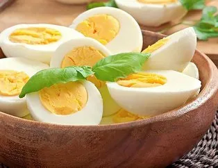 Protein bankası