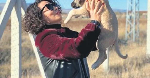 Fatma Turgut, Sivas kangalı yavrularını sevmeye doyamadı