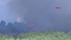 Son dakika: Antalya’da orman yangını