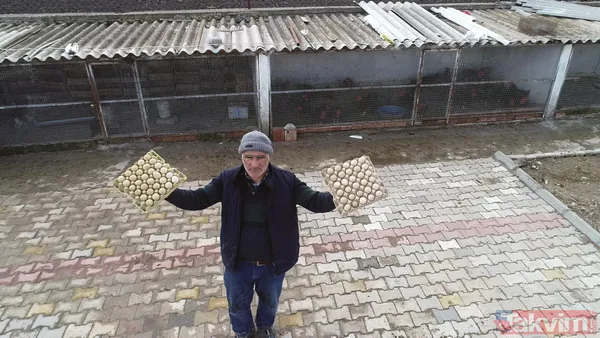 Tanesi 7 TL'ye yumurta! Yere atıldığında bile kolay kolay kırılmıyor - 13
