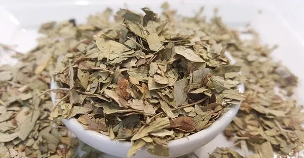 Açlık otu yağ yakar