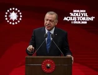 Erdoğan ’gerekeni yapacağız’ demişti! Ruhsatı alınacak