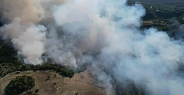 Son dakika... Adana’da çıkan orman yangını kontrol altına alındı!