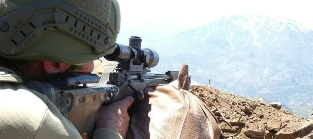 Van’da 2 terörist etkisiz hale getirildi