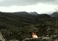 Son dakika: Siirtin Eruh ilçesinde PKKlı teröristlerce tuzaklanan EYP düzeneği imha edildi