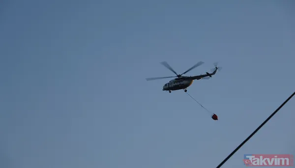İzmir ve diğer illerde alevler kontrol altına alındı! Menderes'i yakan 'hobi' Çeşme'de izmarit izi: Bakan 'haftaya dikkat' diyerek uyardı - 3