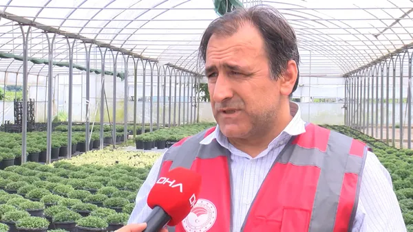 istanbuldaki-deniz-gol-ve-barajlarda-balik-ve-yengec-olumlerinin-nedeni-belli-oldu-kirlilik-oksijenin-azalmasi-1628238927697.jpg İstanbul'daki deniz göl ve barajlarda balık ve yengeç ölümlerinin nedeni belli oldu! Kirlilik-oksijenin azalması-4