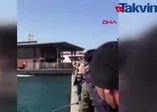 İstanbul Beyoğlu’nda ölü yunus karaya vurdu
