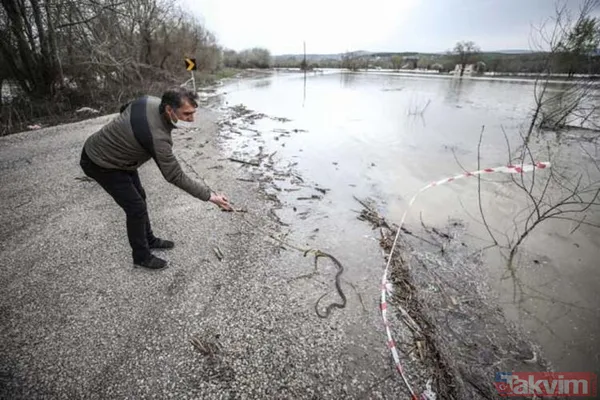 SON DAKİKA: Bursa'da sel alarmı! Tarım arazileri sular altında! Yılanlar ortaya çıktı - 15