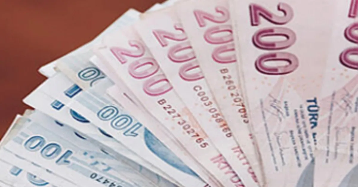 Yakacak Kira Gida Maddi Saglik Engelli Yardimlari Belediye Valilik Ve Kaymakamlik Destek Odemeleri Ne Kadar Takvim