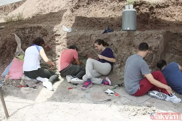 Çankırı'da 8,5 milyon yıllık fosil bulundu! - 20