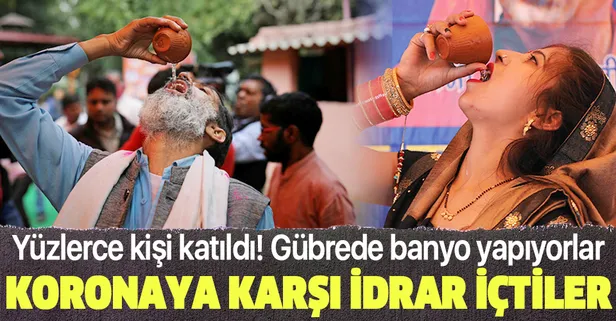 Hindistan'da koronavirüsten korunmak için "inek idrarı içme partisi"