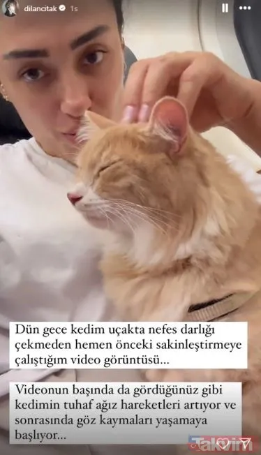 Dilan Çıtak Tatlıses