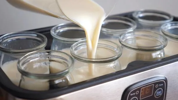 ascilarin-gizledigi-yogurt-mayalama-sirri-kaynananiz-hayran-kalacak-tas-gibi-ev-yogurdu-yapimi-1704140305819.jpg Kaynananız hayran kalacak! Aşçıların gizlediği yoğurt mayalama sırrı! Taş gibi ev yoğurdu yapımı-8