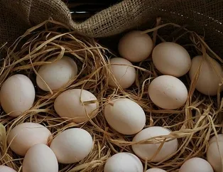 Yumurtayla kemikler sağlam