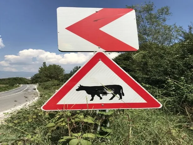 filiz-girginin-sosyal-medya-paylasimlarina-kizan-lg-esini-av-tufegiyle-katletti-1660856961095.jpeg Filiz Girgi'nin sosyal medya paylaşımlarına kızan L.G eşini av tüfeğiyle katletti-8