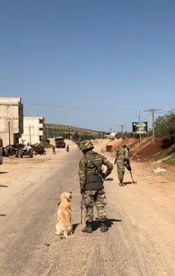 Afrin'de hain tuzak! Şehit ve yaralılar var