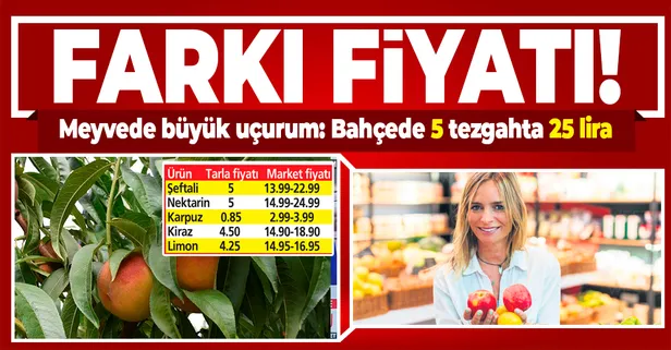 Meyve fiyatlarında büyük uçurum! Bahçede 5, tezgahta 25 lira...