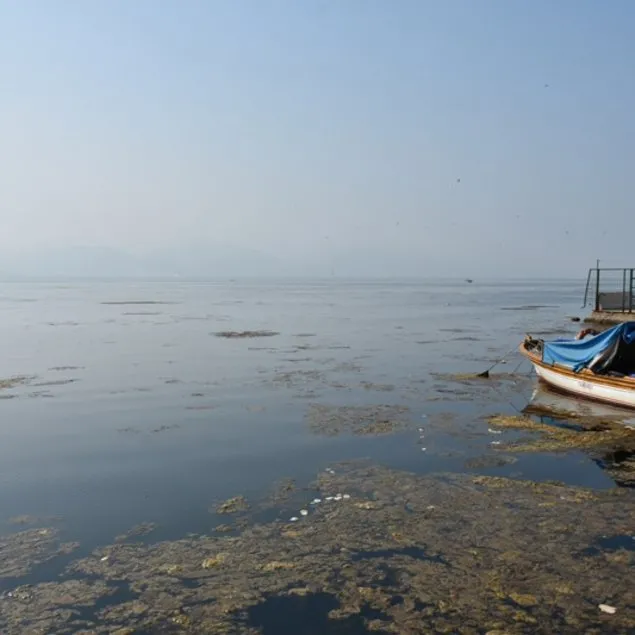 İzmir Körfezi’ni yosun tuttu