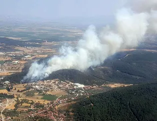 İzmir’de ormanlık alanda yangın