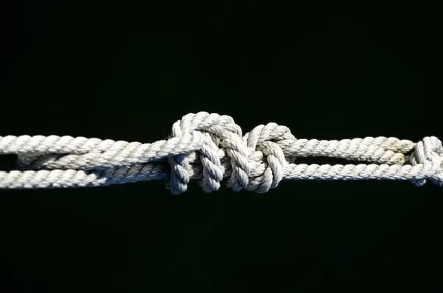 Domuz bağı nedir? Domuz bağı ne demek?