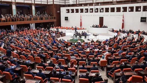 Beklenen yasa tasarısı Meclis'e geliyor! Hayvana işkenceye hapis cezası