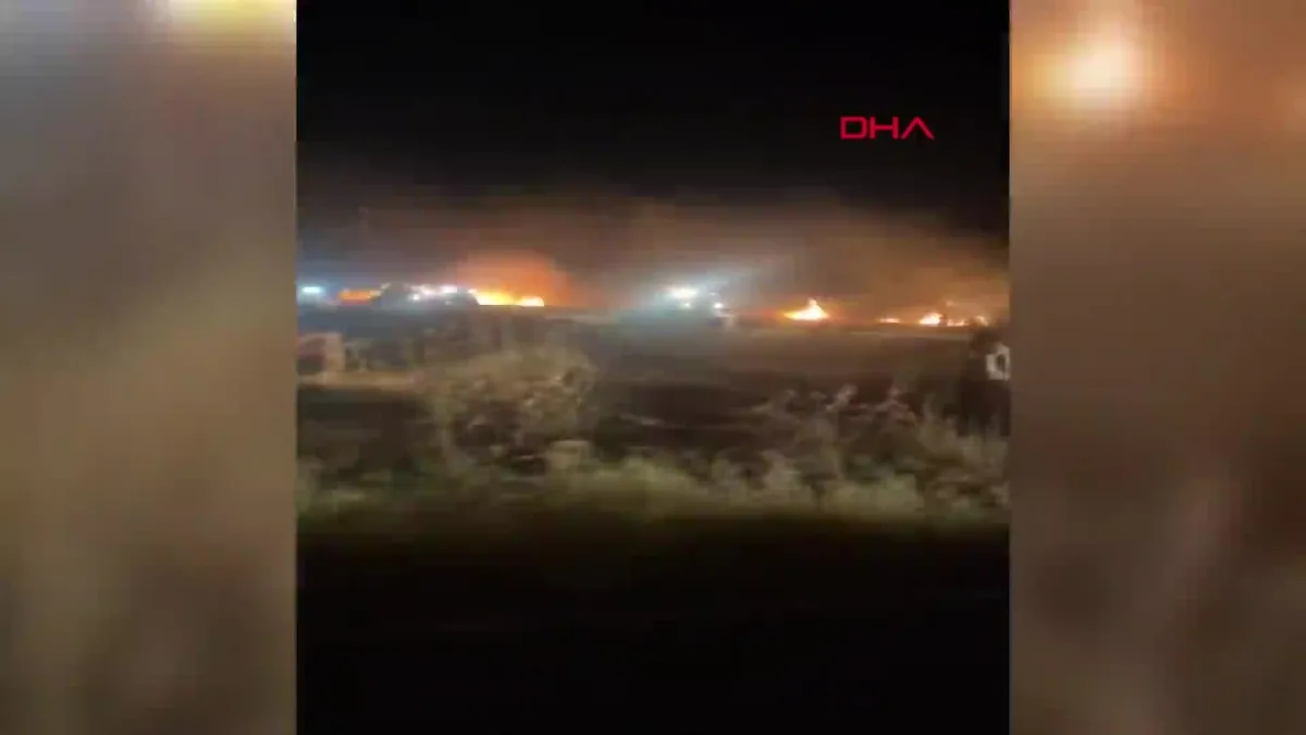 Mardin'de yangın! Aynı tarlada 3. vaka!