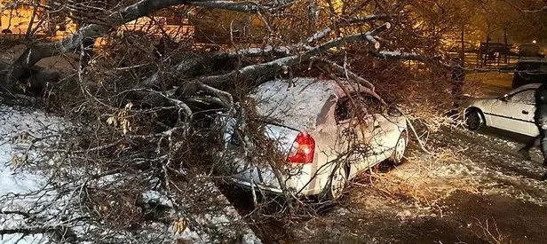 Aksaray’da etkili olan kar yağışı ağaçları devirdi