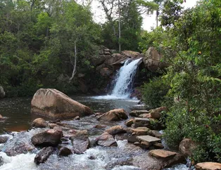 Rüyada dere görmek ne anlama gelir?