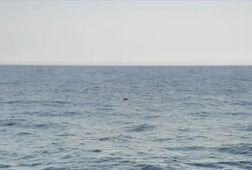 Karadeniz’de mayın alarmı! Ekipler harekete geçti