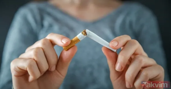 📌Winston, Marlboro, Parliament, Kent sigara zammı geri mi alındı, iptal mi oldu? 🚭Sigara zammı geri çekilecek mi? MART 2022 JTİ-BAT- Philip Morris güncel fiyat listesi! - 13