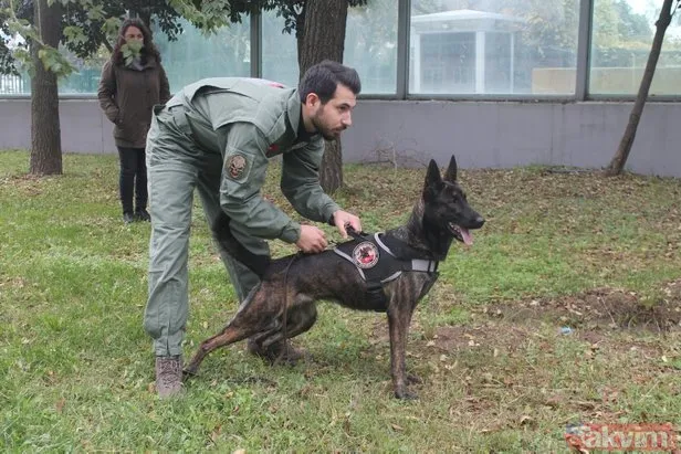 Cemal Kaşıkçı bu köpekle arandı! Türkiye’de sadece 5 tane var