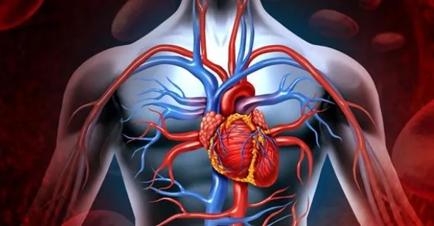 Oruç tutmak kalbe de faydalı