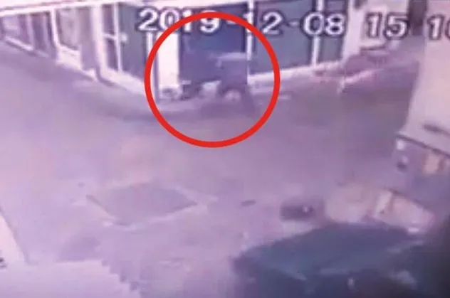 Şiddet videosuyla hayvanseverlere tuzak: Yorum yapanlara dava açıp para istiyor