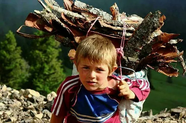 Türk bilim adamı Ovalı, ödülünü askerlerimize ve Eren Bülbül'e adadı-1