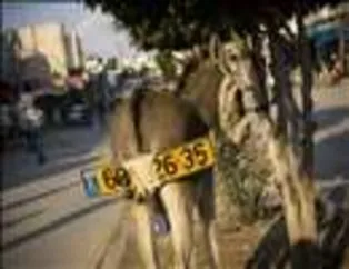 Bu fotoğraflar çok güldürecek-1