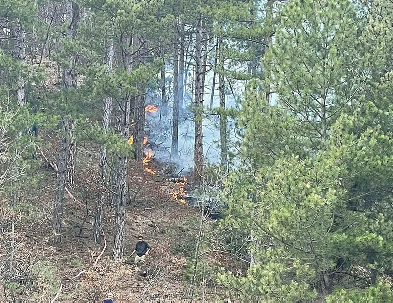 Bursa’da orman yangını