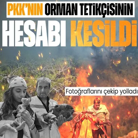 PKK’dan ormanı yak talimatı almıştı! O sanığa ağırlaştırılmış müebbet verildi: Operasyonun detayları ortaya çıktı
