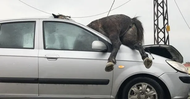 İstanbul’da korkunç kaza!